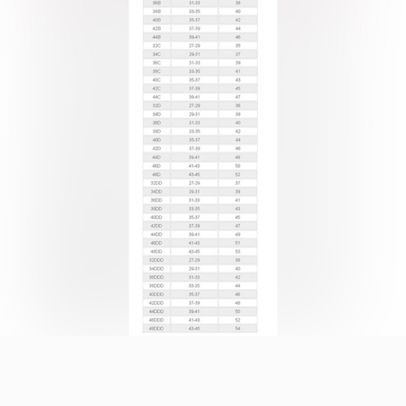 Carnival Vintage 90's Coquette Zipper Front Lace Bustier 40 D Torsolette #386 - Picture 14 of 14